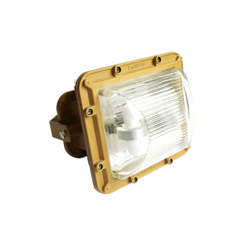 南陽中通智能防爆燈的防爆無極燈40W50W防水防塵防爆電磁感應燈產品